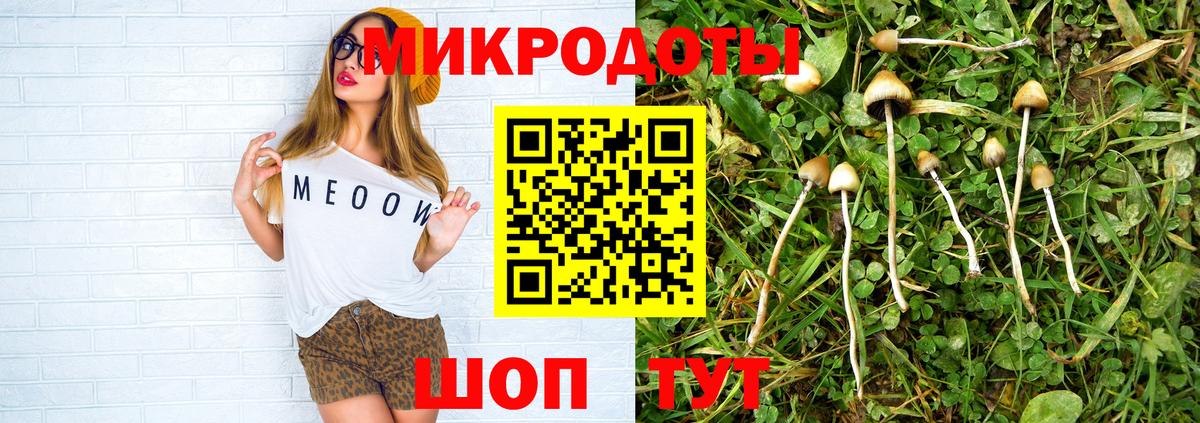 Галлюциногенные грибы прущие грибы Спасск-Дальний