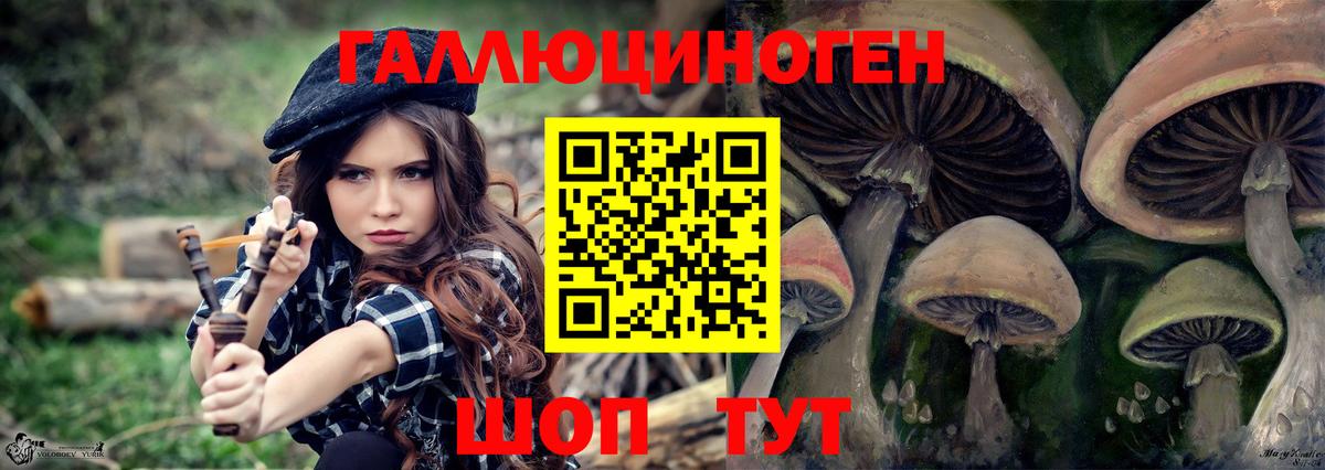 Спасск-Дальний  Галлюциногенные грибы Cubensis  где купить наркоту  Вход с VPN 